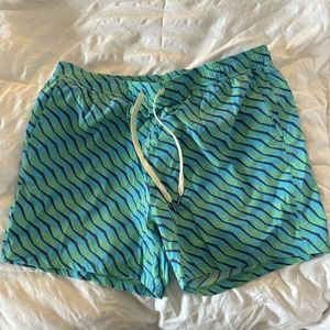 Fair Harbor Swim trunk